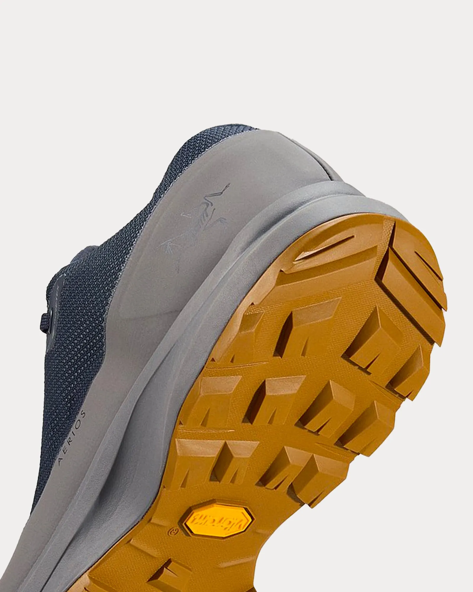 Aerios FL 2 GTX Black Sapphire / Void Running Shoes