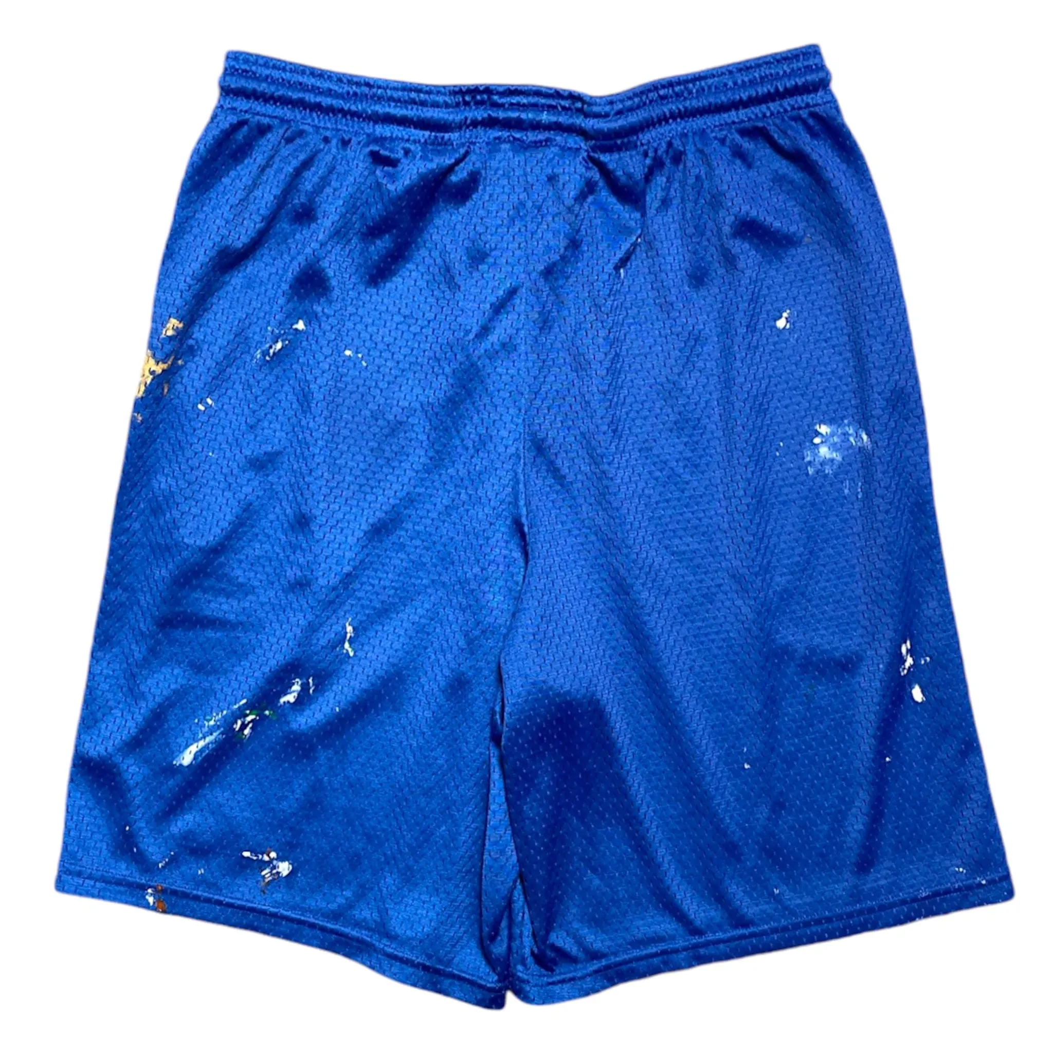 Gallery Department Studio Gym Shorts Blue Pre-Owned