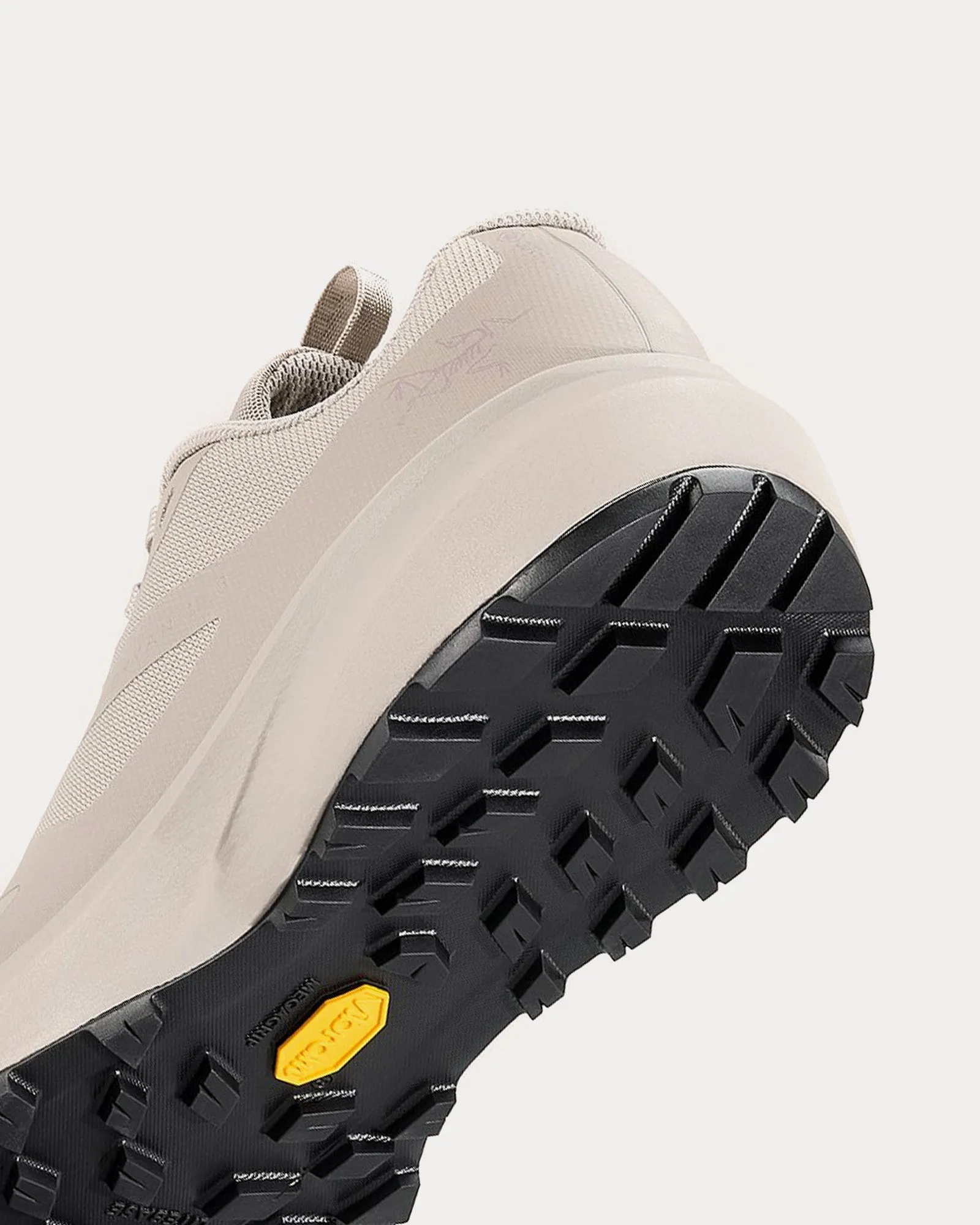 Norvan LD 3 GTX Rune / Rune Running Shoes