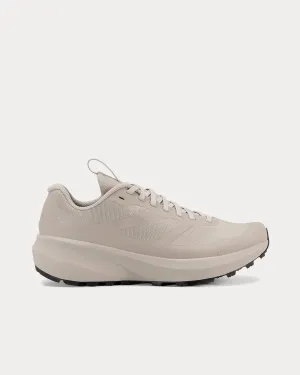 Norvan LD 3 GTX Rune / Rune Running Shoes