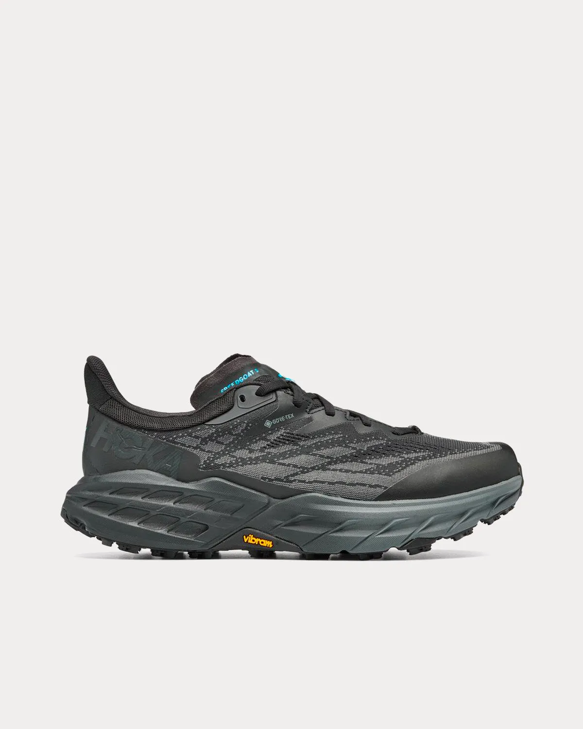 Speedgoat 5 GORE-TEX Black / Black Running Shoes